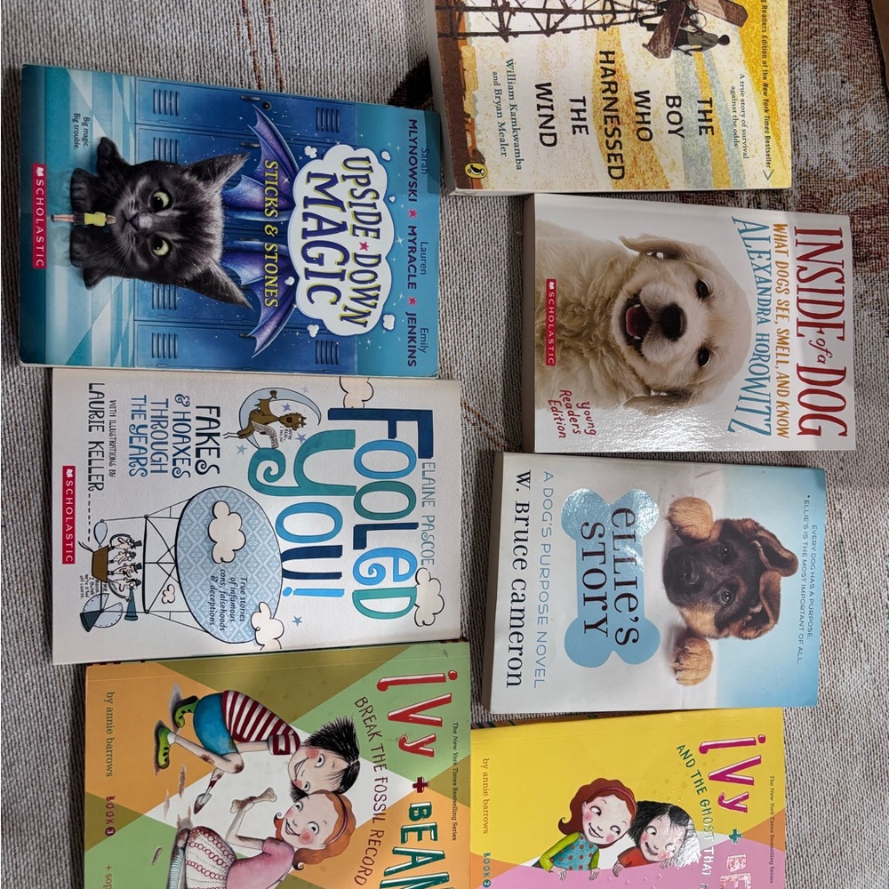 Scholastic  Stories Collection with Blue, Yellow, and Brown Covers